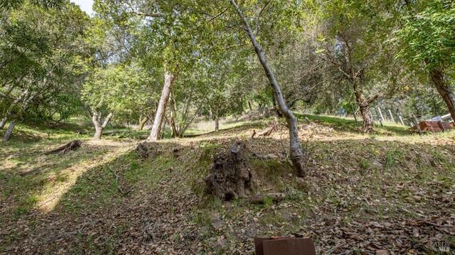 view of nature featuring a wooded view