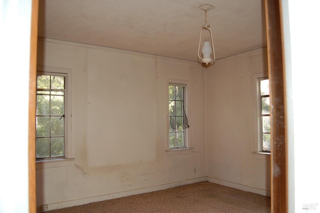 empty room featuring carpet