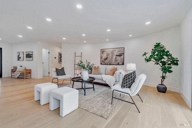 living room with light wood-type flooring