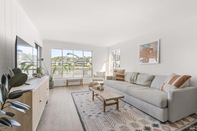 living room with crown molding and light wood-type flooring