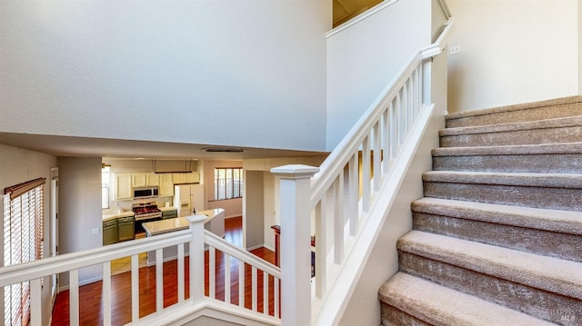 stairs featuring hardwood / wood-style floors and a towering ceiling