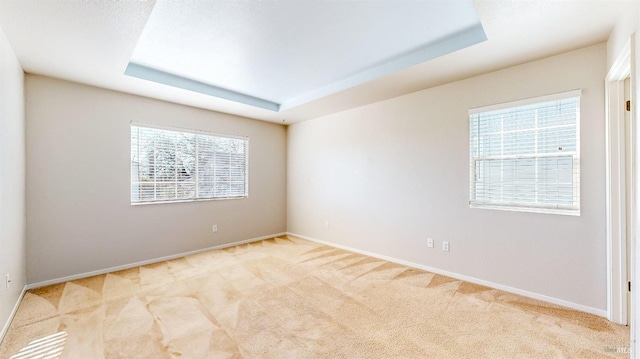 unfurnished room with light carpet and a tray ceiling