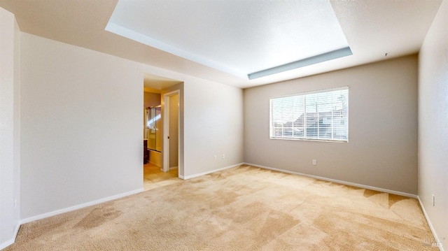 empty room featuring light carpet and a raised ceiling