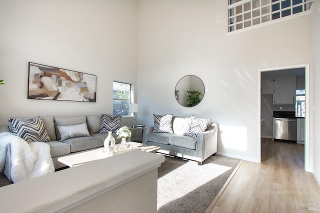 living room featuring a high ceiling and wood-type flooring