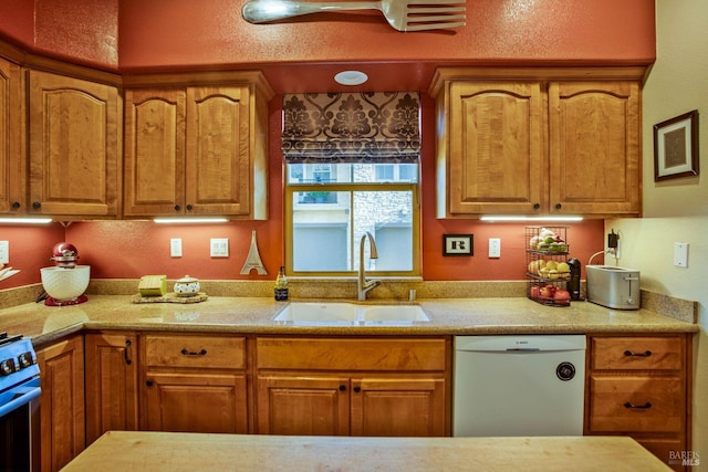 kitchen with stainless steel stove, dishwashing machine, and sink