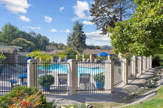 view of pool featuring a patio