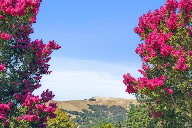 exterior details with a mountain view