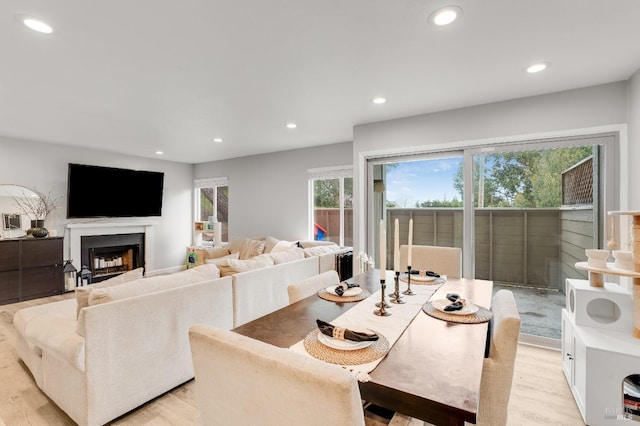 living room with light hardwood / wood-style flooring