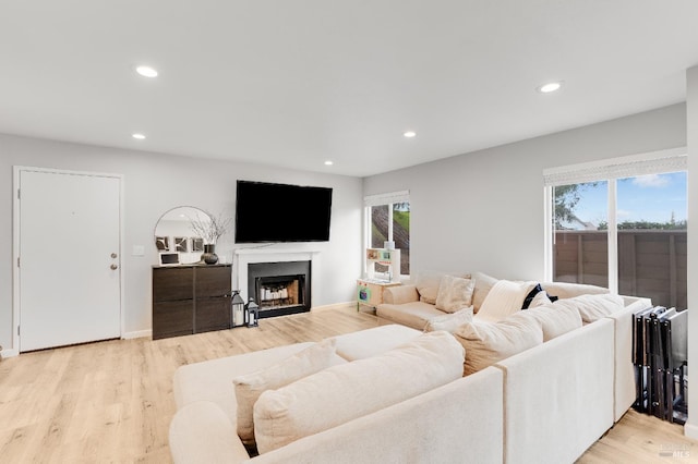 living room with a wealth of natural light and light wood-type flooring