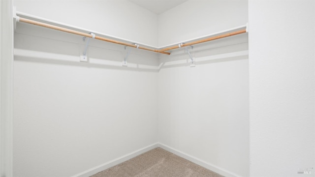 spacious closet with carpet flooring