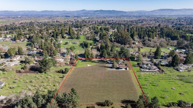 drone / aerial view with a mountain view