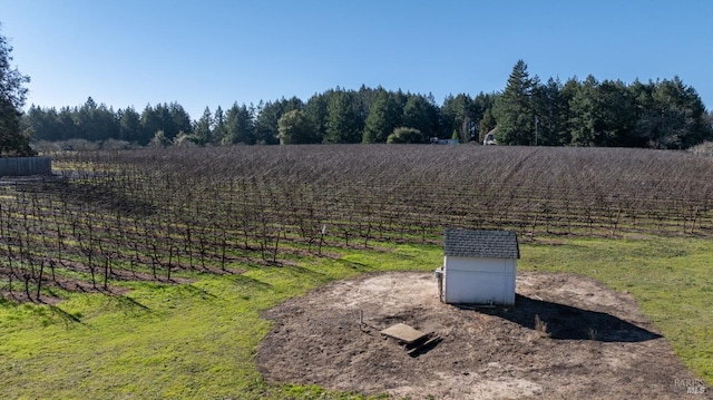 view of yard with a rural view