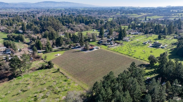 birds eye view of property featuring a mountain view