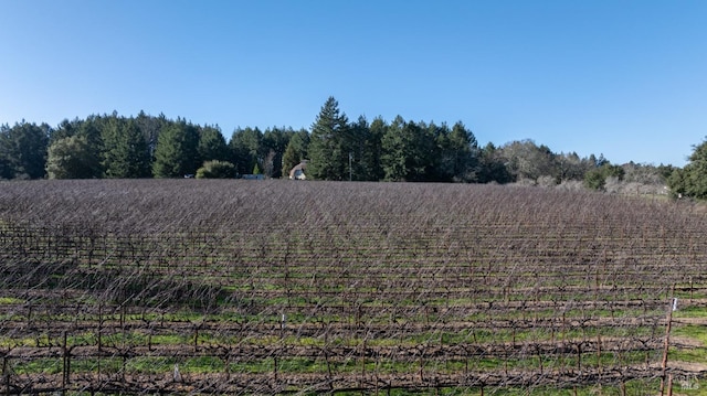 view of nature with a rural view