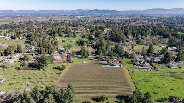 bird's eye view with a mountain view