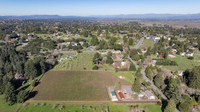 drone / aerial view featuring a rural view and a mountain view