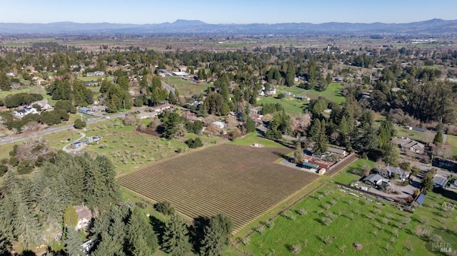 drone / aerial view featuring a mountain view