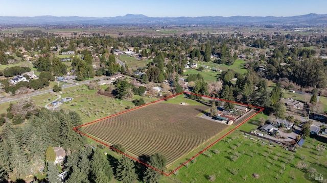 birds eye view of property with a mountain view