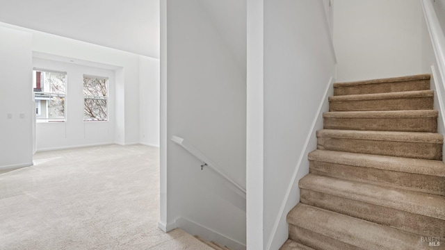 staircase featuring carpet