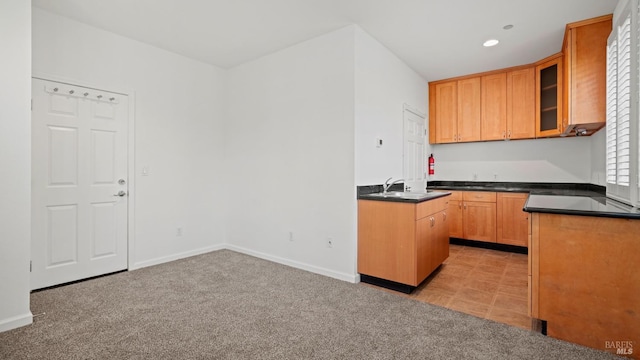 kitchen featuring sink and light carpet