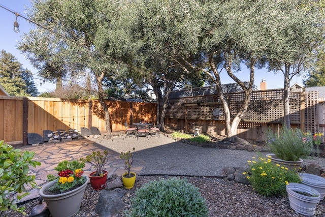 view of yard featuring a patio area and a fenced backyard