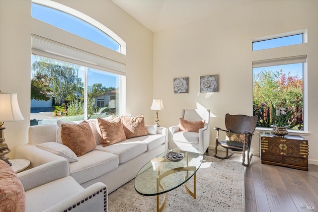 living room featuring hardwood / wood-style flooring and a towering ceiling