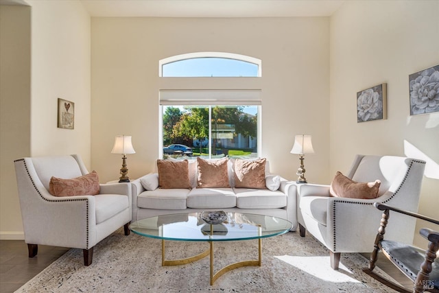 living room featuring a towering ceiling and light hardwood / wood-style flooring