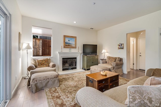 living room featuring hardwood / wood-style flooring