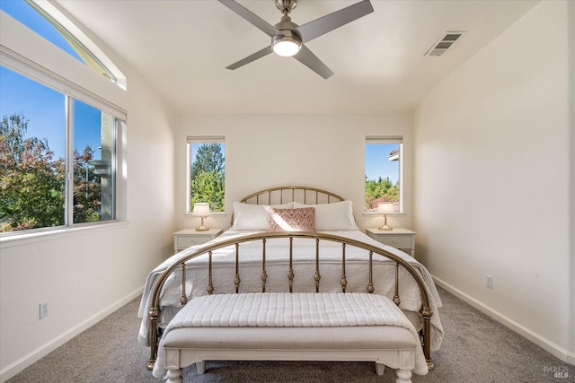 bedroom with ceiling fan, carpet floors, and multiple windows