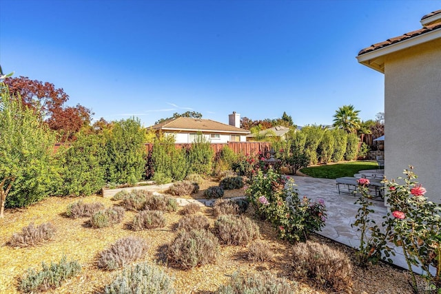 view of yard featuring a patio area