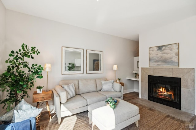 living room with a fireplace and wood-type flooring