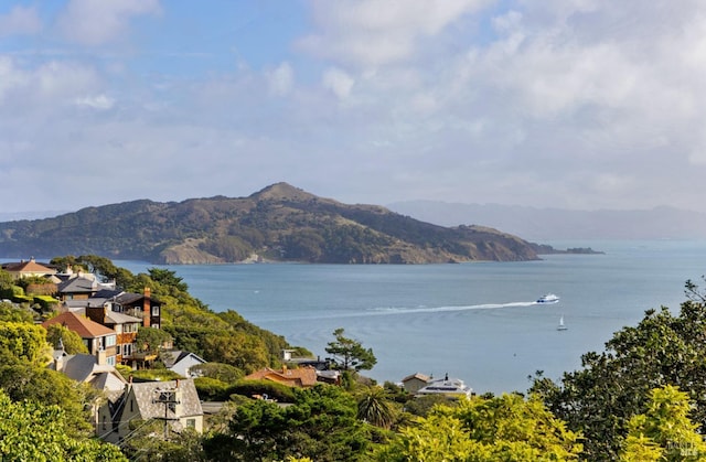 property view of water with a mountain view