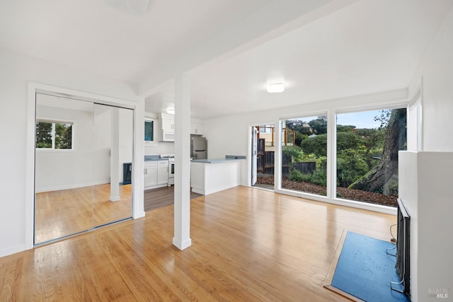 unfurnished living room featuring a healthy amount of sunlight and light hardwood / wood-style flooring