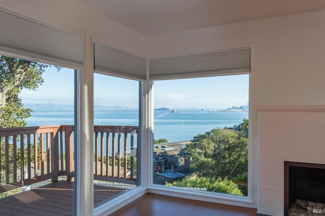 unfurnished sunroom with a water view and a fireplace