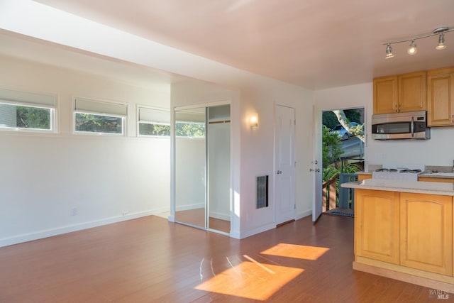 kitchen featuring light brown cabinets, plenty of natural light, track lighting, and dark hardwood / wood-style flooring