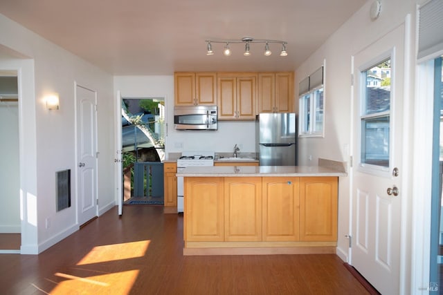 kitchen featuring sink, dark wood-type flooring, appliances with stainless steel finishes, a healthy amount of sunlight, and light brown cabinetry