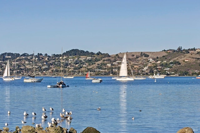 water view featuring a mountain view