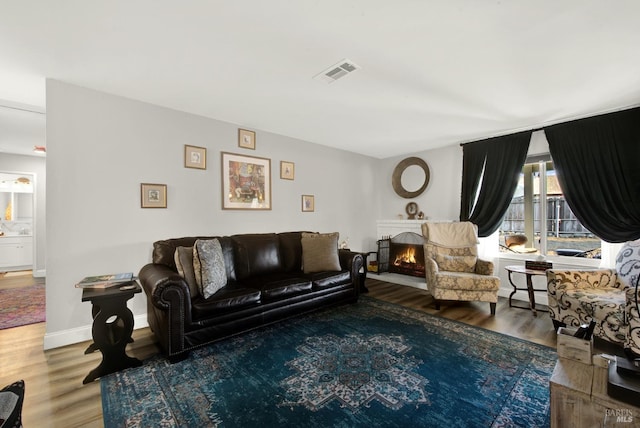 living room featuring wood-type flooring