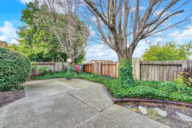 view of yard featuring a patio area