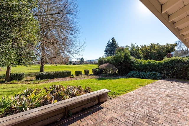 view of community featuring a patio and a lawn