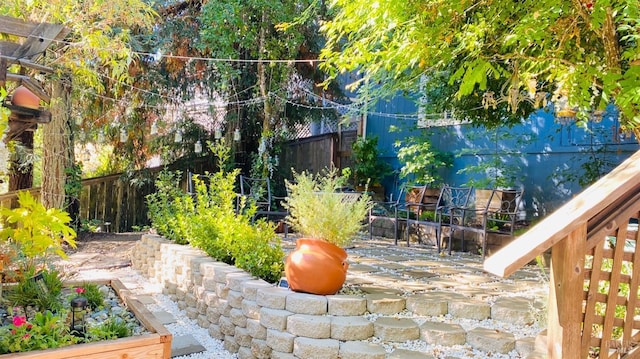 view of yard featuring a patio area