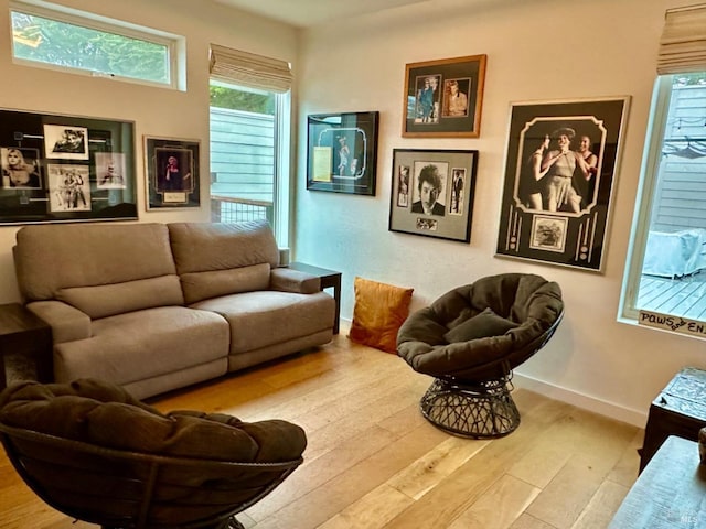 living room featuring light hardwood / wood-style flooring