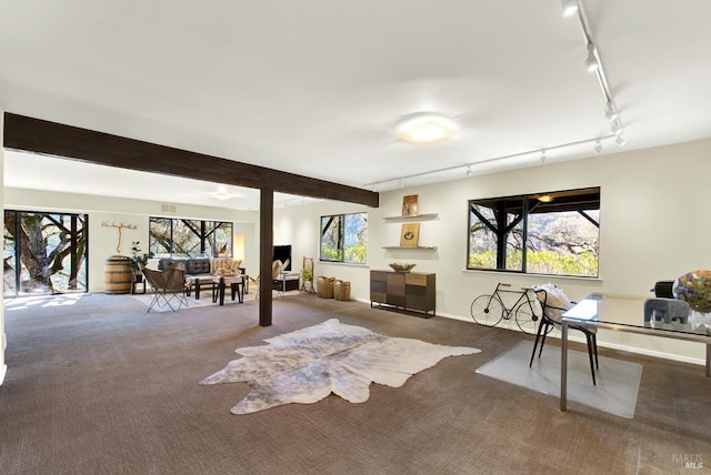 interior space with track lighting, carpet floors, and baseboards