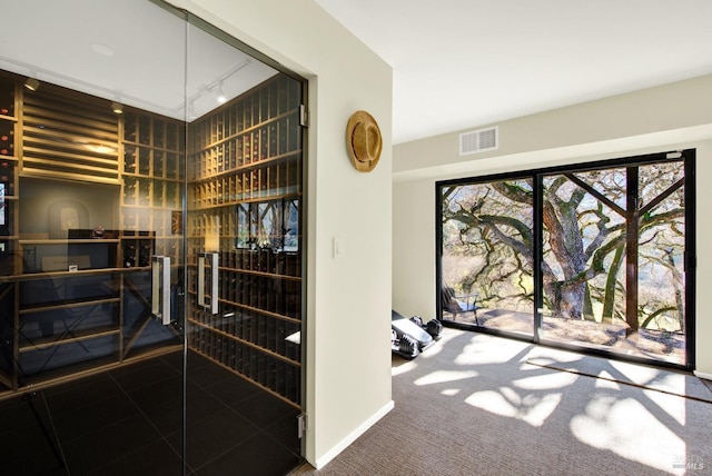 wine cellar with rail lighting and visible vents