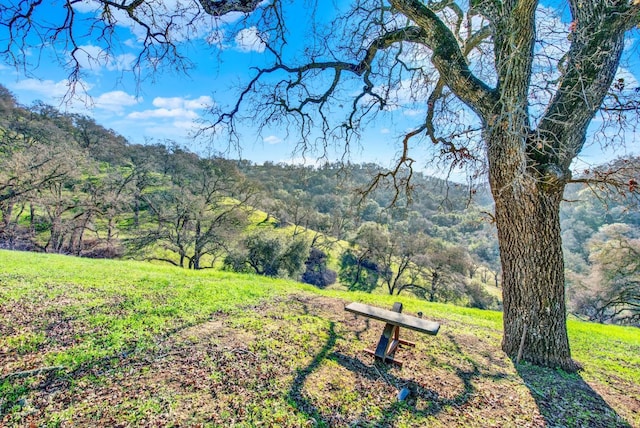 view of community with a wooded view