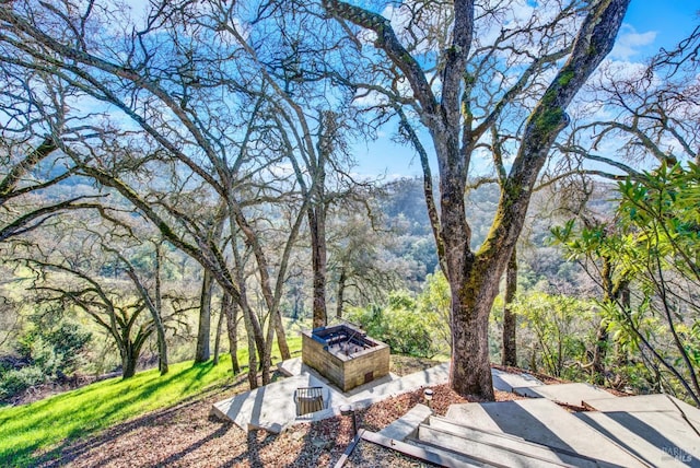 view of patio / terrace featuring a view of trees