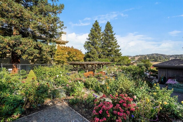 view of yard with a mountain view