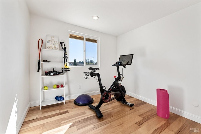 workout room featuring wood-type flooring