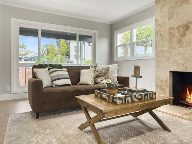 living area featuring wood finished floors, crown molding, baseboards, and a wealth of natural light