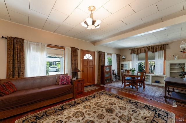 living room featuring dark wood-type flooring